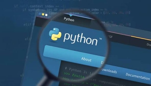 Python
